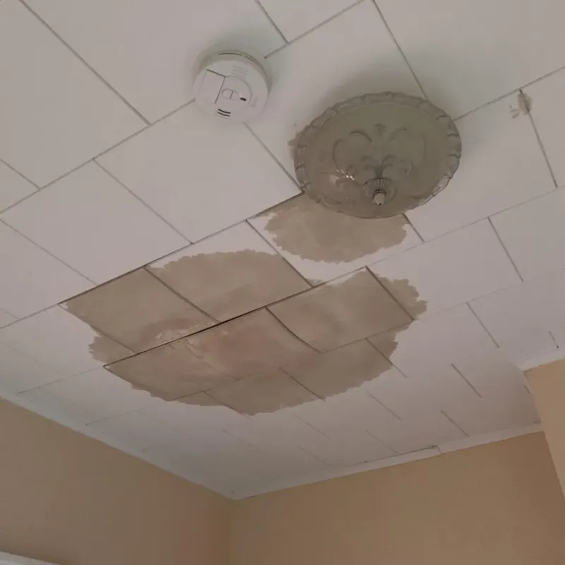 Ceiling Water Damage Repair in Mound City, SD