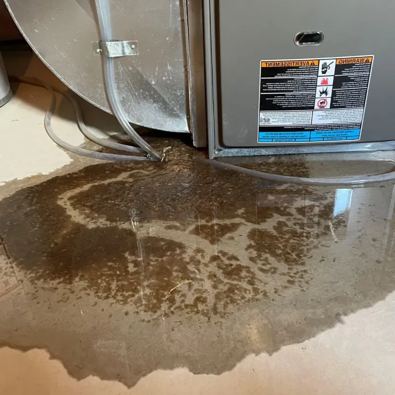 Pipe Burst and Leak Restoration in Mound City, SD