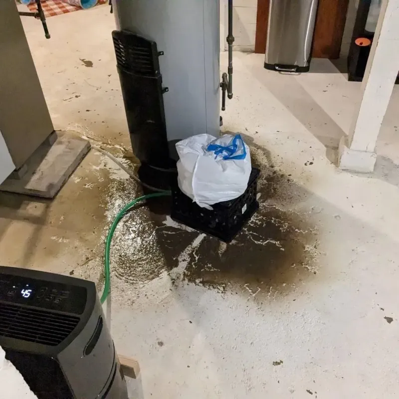 Sewage Backup Cleanup Service in Mound City, SD